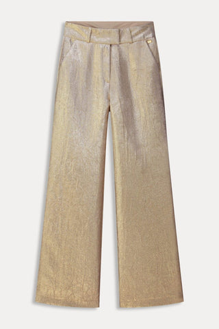 Stardust Wide Leg, Lined Trousers with Side Pockets by Pom Amsterdam - Gold, Violet