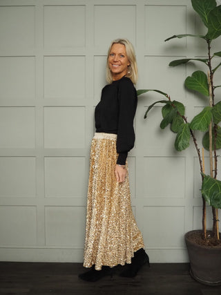 Colwyn Full Sequin Skirt with Satin Waist Band - Black, Gold, Green