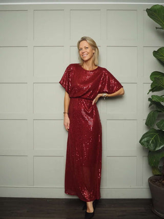Anika Sequin Maxi Dress - Lined, Short Sleeved with Round Neck - Red, Silver