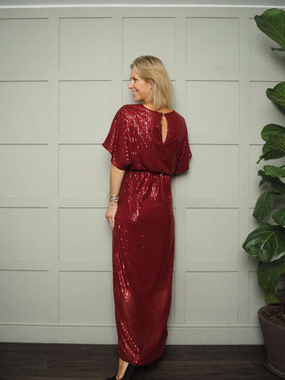 Anika Sequin Maxi Dress - Lined, Short Sleeved with Round Neck - Red, Silver