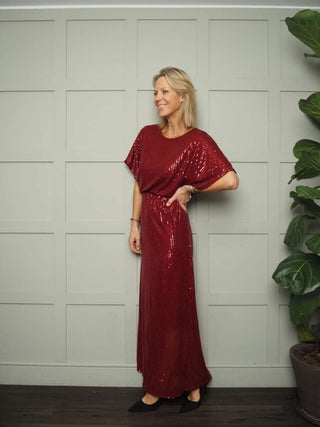Anika Sequin Maxi Dress - Lined, Short Sleeved with Round Neck - Red, Silver