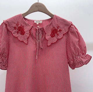 Eliza Gingham Short Sleeve Blouse with Peter Pan Collar  - Red