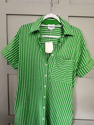 Odile Shirt Dress by Frnch - Green with White Stripes