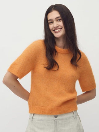Carla-M Wool Mix Jumper with Short Sleeves by mbyM - Orange